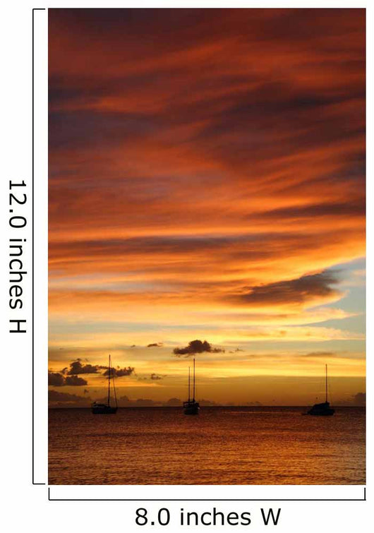 Golden Caribbean Sunset Cruise Wall Decal