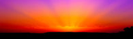 Bright Orange-magenta Sunrise Wall Decal Panoramic