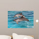 Two Bottlenose Dolphins Leaping Wall Decal