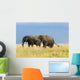 Two Adult African Elephants Wall Decal