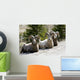 Big Horn Sheep Wall Decal