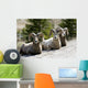Big Horn Sheep Wall Decal