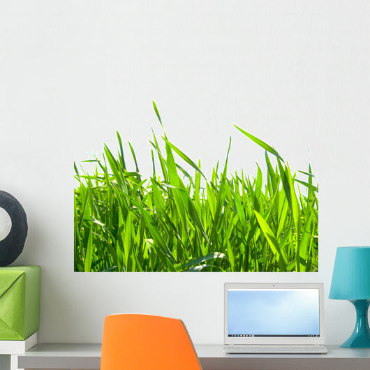 Green Grass Wall Decal