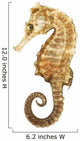 Seahorse Wall Decal
