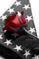 Lone Red Rose Sits Wall Decal