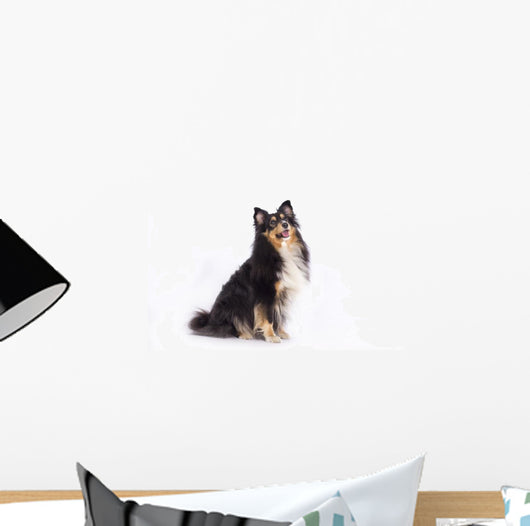 Seated Shetland Sheepdog Wall Decal