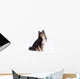 Seated Shetland Sheepdog Wall Decal