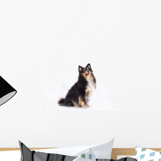 Seated Shetland Sheepdog Wall Decal