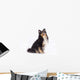 Seated Shetland Sheepdog Wall Decal