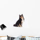 Seated Shetland Sheepdog Wall Decal