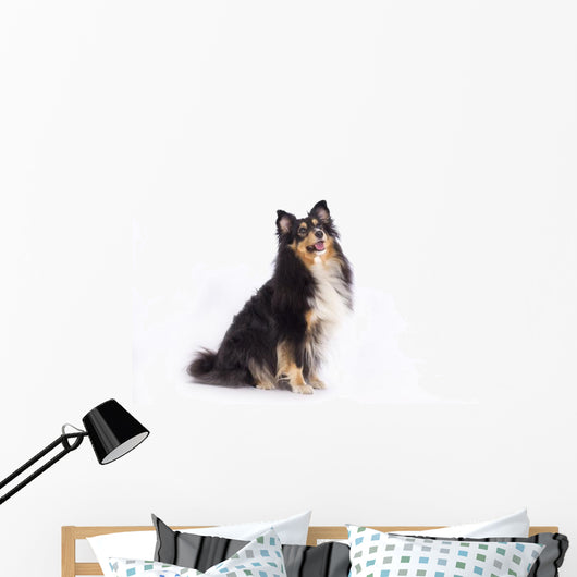 Seated Shetland Sheepdog Wall Decal