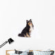 Seated Shetland Sheepdog Wall Decal