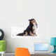 Shetland Sheepdog Wall Decal