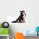 Shetland Sheepdog Wall Decal