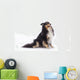 Shetland Sheepdog Wall Decal