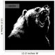 Engrave Bear Illustration on Black Wall Decal