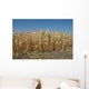 Corn Field Late Summer Wall Decal