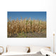 Corn Field Late Summer Wall Decal