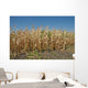 Corn Field Late Summer Wall Decal