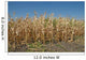 Corn Field Late Summer Wall Decal