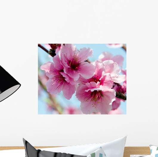 Peach Blossoms Wall Decal