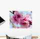 Peach Blossoms Wall Decal