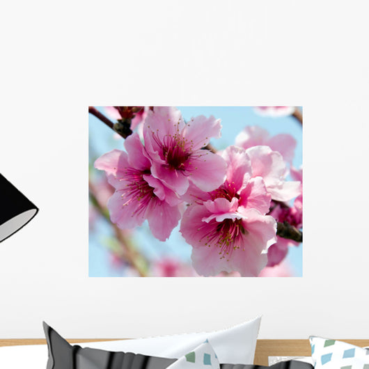 Peach Blossoms Wall Decal