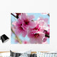 Peach Blossoms Wall Decal