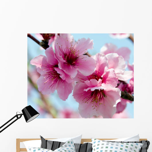 Peach Blossoms Wall Decal