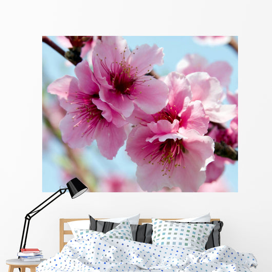 Peach Blossoms Wall Decal