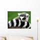 Lemur Animal Wall Decal