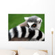 Lemur Animal Wall Decal