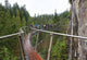 Capilano Suspension Bridge British Wall Decal