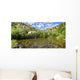 River Krka Knin Wall Decal