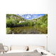 River Krka Knin Wall Decal