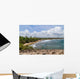 Beach around Cueva Del Wall Decal