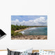 Beach around Cueva Del Wall Decal
