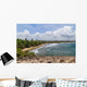 Beach around Cueva Del Wall Decal