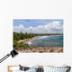 Beach around Cueva Del Wall Decal
