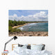 Beach around Cueva Del Wall Decal