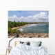 Beach around Cueva Del Wall Decal