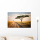 African Landscape Tanzania Wall Decal