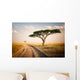 African Landscape Tanzania Wall Decal
