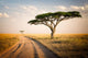 African Landscape Tanzania Wall Decal
