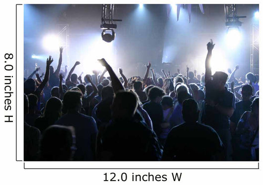 Crowd Wall Decal