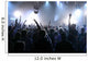 Crowd Wall Decal
