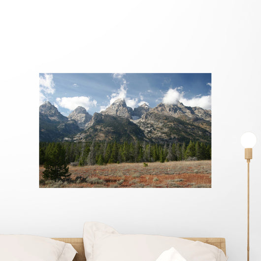 Grand Teton National Park Wall Decal