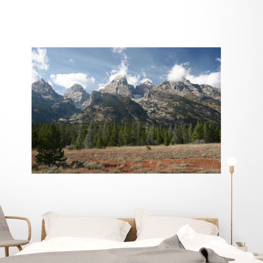 Grand Teton National Park Wall Decal