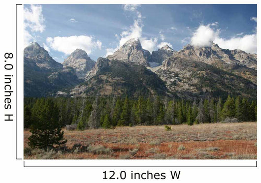 Grand Teton National Park Wall Decal