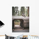 Young Man over Tunnel Wall Decal